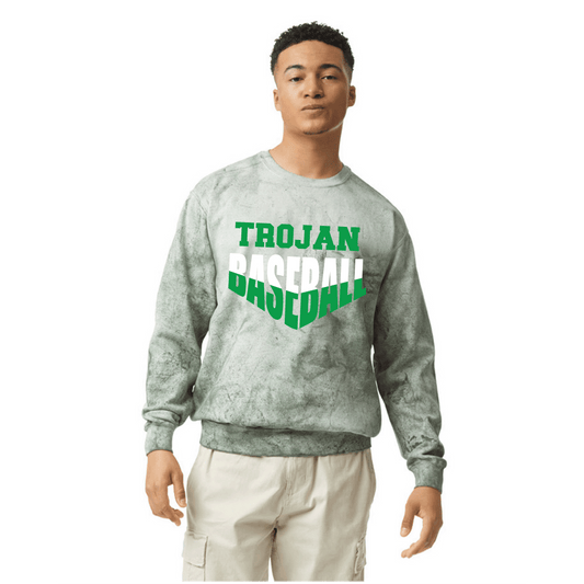 Adult Unisex Comfort Colors Color Blast Fern Crewneck